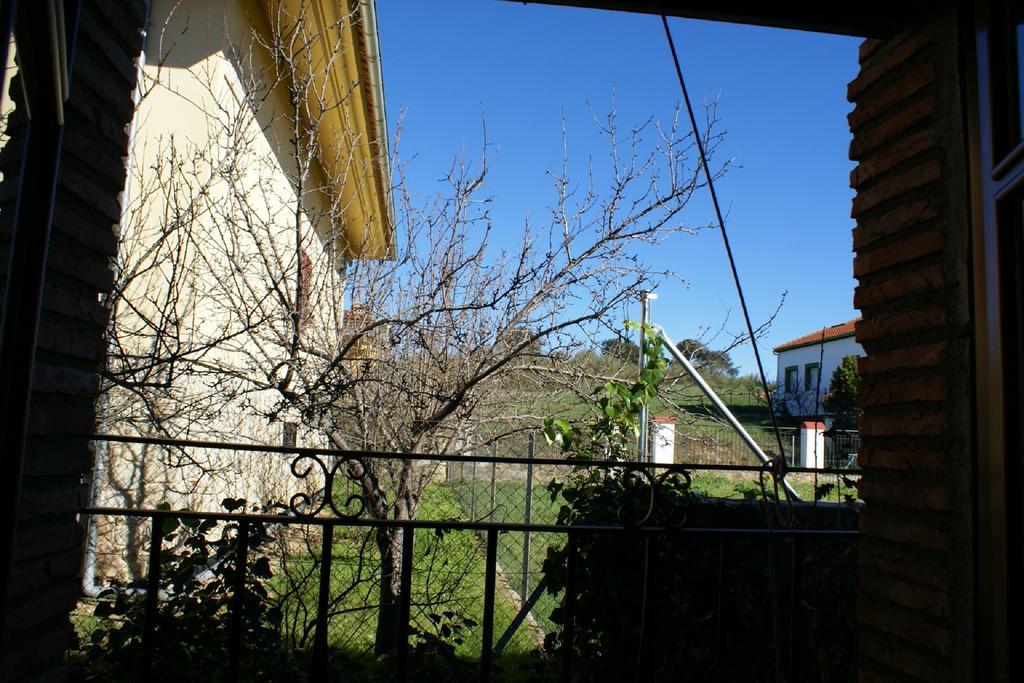 Casa Rural Pena Falcon Torrejon el Rubio Bagian luar foto